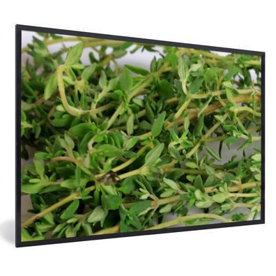 Poster - 60x40 cm - Getrocknete Thymianpflanzen für die Verwendung in einer