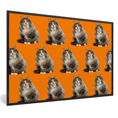 Poster - 60x40 cm - Haustier - Muster - Orange