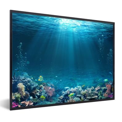 Poster - 80x60 cm - Ozean - Fisch - Koralle