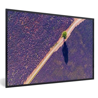 Poster - 90x60 cm - Eine Luftaufnahme eines Lavendelfeldes in Frankreich