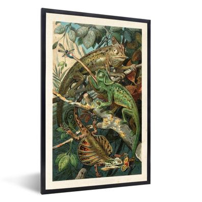 Poster - 60x90 cm - Vintage - Reptilien - Pflanzen