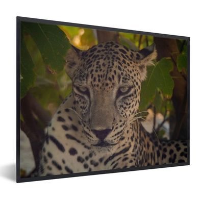Poster - 40x30 cm - Leopard - Arabisch - Wilde Tiere