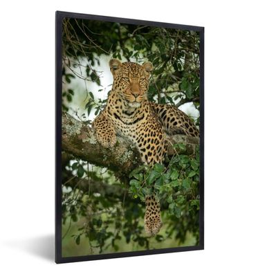 Poster - 60x90 cm - Panther - Baum - Wilde Tiere