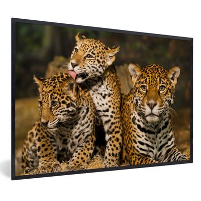 Poster - 120x80 cm - Leopard - Wilde Tiere - Natur