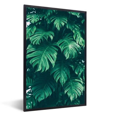 Poster - 60x90 cm - Monstera - Weiß - Muster