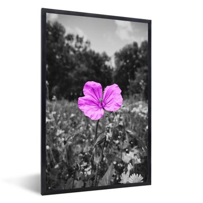 Poster - 40x60 cm - Blumen - Flieder - Schwarz - Weiß