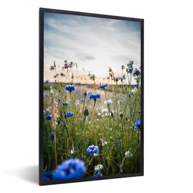 Poster - 60x90 cm - Blumen - Sommer - Kornblume