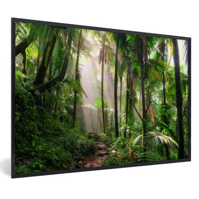 Poster - 120x80 cm - Dschungel - Park - Puerto Rico
