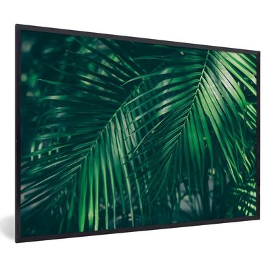 Poster - 90x60 cm - Palmenblätter - Makro - Grün