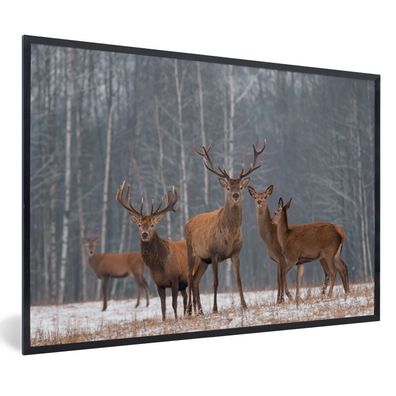 Poster - 90x60 cm - Hirsche - Wald - Winter