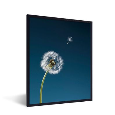 Poster - 60x80 cm - Löwenzahn verliert seinen Samen