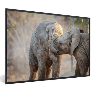 Poster - 60x40 cm - Elefanten - Kuscheltier - Afrika