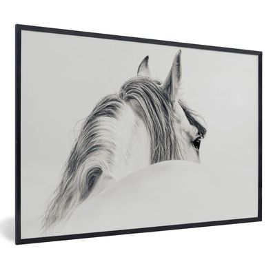 Poster - 60x40 cm - Pferd - Weiß - Tier