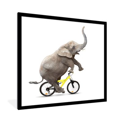 Poster - 40x40 cm - Elefant - Fahrrad - Weiß