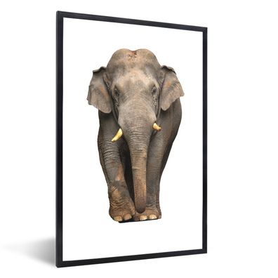 Poster - 20x30 cm - Elefant - Asien - Weiß