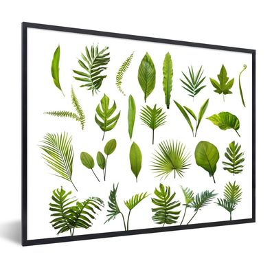 Poster - 40x30 cm - Dschungel - Blätter - Weiß
