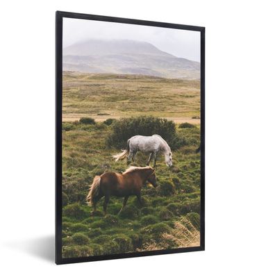 Poster - 20x30 cm - Pferde - Gras - Weiß