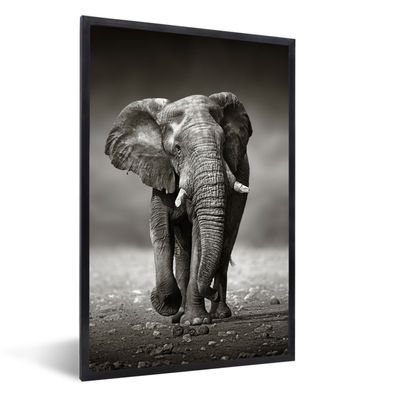 Poster - 20x30 cm - Elefant - Schwarz - Weiß - Namibia