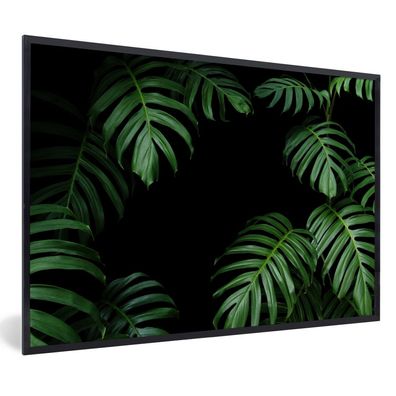 Poster - 60x40 cm - Dschungel - Pflanzen - Monstera