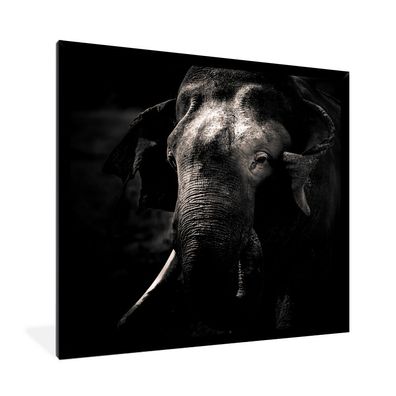 Poster - 40x40 cm - Elefant - Weiß - Schwarz