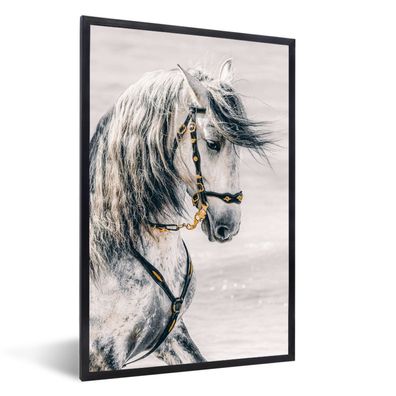 Poster - 40x60 cm - Pferd - Gold - Halfter