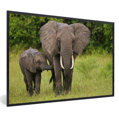 Poster - 60x40 cm - Elefant - Kalb - Landschaft