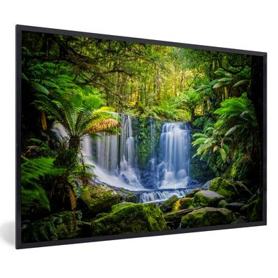 Poster - 120x80 cm - Dschungel - Wasserfall - Australien