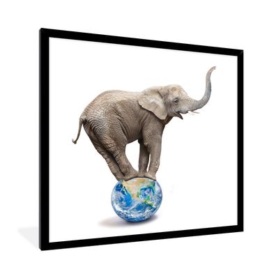 Poster - 40x40 cm - Elefant - Globus - Weiß