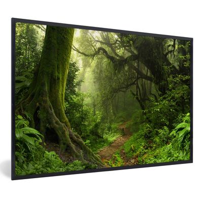 Poster - 90x60 cm - Dschungel - Pfad - Nepal