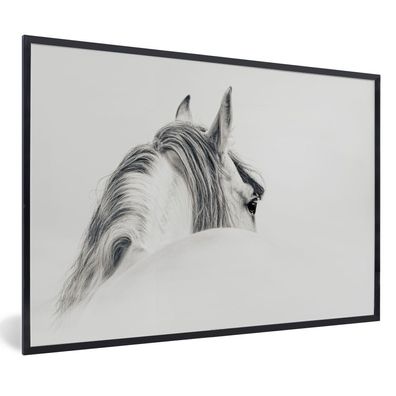 Poster - 60x40 cm - Pferd - Weiß - Grau