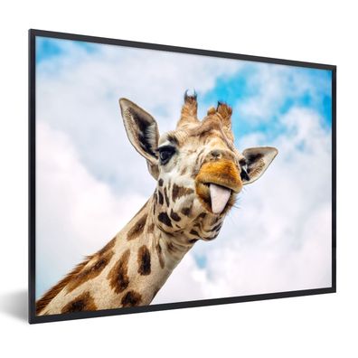 Poster - 80x60 cm - Giraffe - Lustig - Zunge