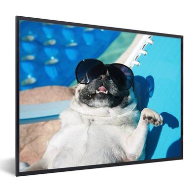 Poster - 50x40 cm - Hund - Lustig - Sonnenbrille