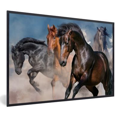 Poster - 90x60 cm - Pferde - Stoff - Wüste