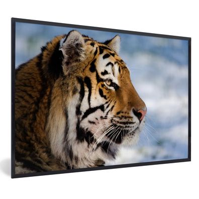 Poster - 60x40 cm - Tiger - Schnee - Natur