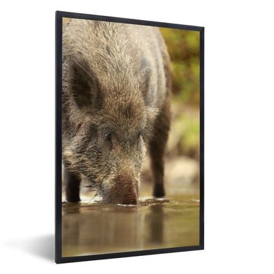 Poster - 20x30 cm - Schwein - Wild - Fluss