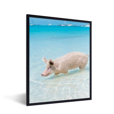 Poster - 40x50 cm - Schwein - Meer - Strand