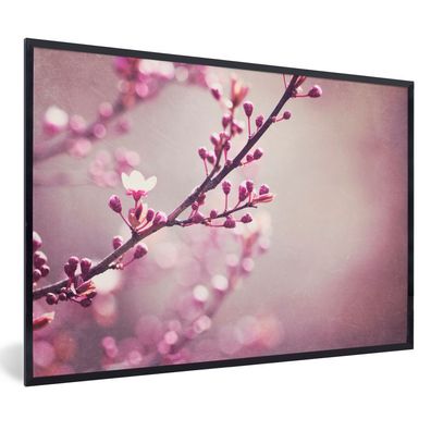 Poster - 90x60 cm - Nahaufnahme der violetten Blüten einer Sakura