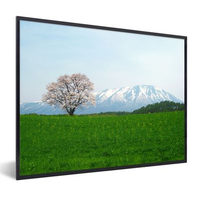 Poster - 80x60 cm - Kirschblüte - Berg - Japan