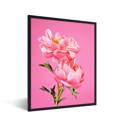 Poster - 30x40 cm - Rosa Pfingstrosen mit einem rosa Hintergrund