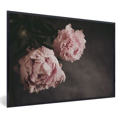 Poster - 60x40 cm - Überdosis rosa Pfingstrosen