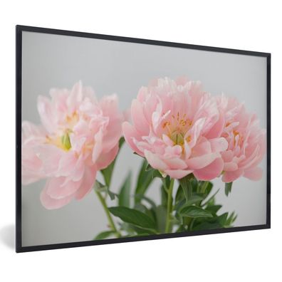 Poster - 120x80 cm - Blumenstrauß aus rosa Pfingstrosen
