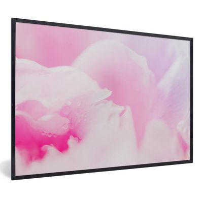 Poster - 90x60 cm - Nahaufnahme der Blütenblätter der rosa Pfingstrose