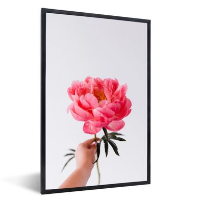 Poster - 60x90 cm - Hand hält eine rosa Pfingstrose