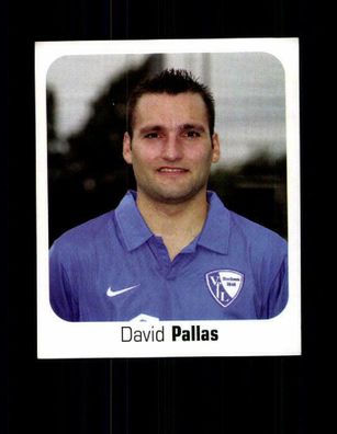 David Pallas VFL Bochum Panini Sammelbild 2006-07 Nr. 101