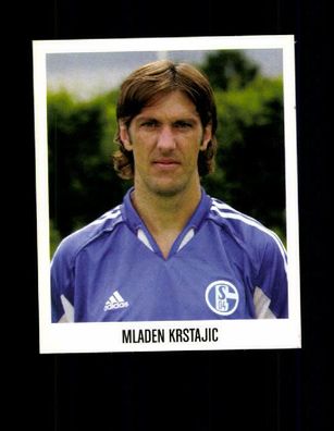 Mladen Krstajic FC Schalke 04 Panini Bundesliga 2005-06 Sammelbild Nr. 178