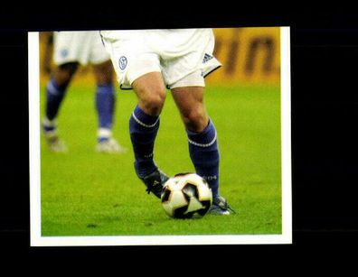 Teil eines Spieler FC Schalke 04 Panini Bundesliga 2005-06 Sammelbild Nr. 197