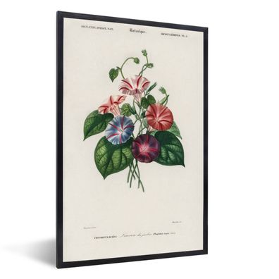 Poster - 60x90 cm - Blumen - Vintage - Blatt