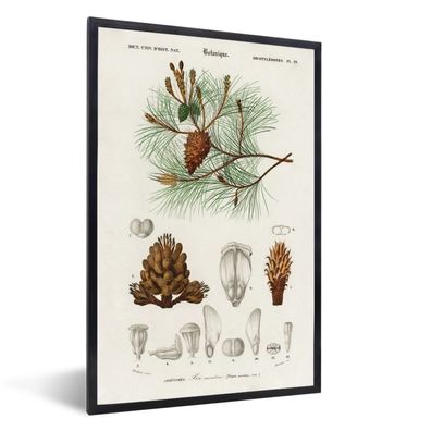 Poster - 60x90 cm - Baum - Vintage - Saatgut