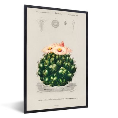 Poster - 40x60 cm - Kaktus - Vintage - Pflanzen