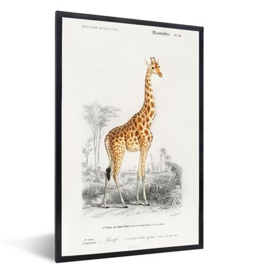 Poster - 40x60 cm - Giraffe - Jahrgang - Baum